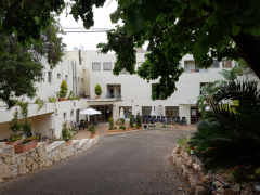 חצר ירוקה ומטופחת בבית אבות בחיפה